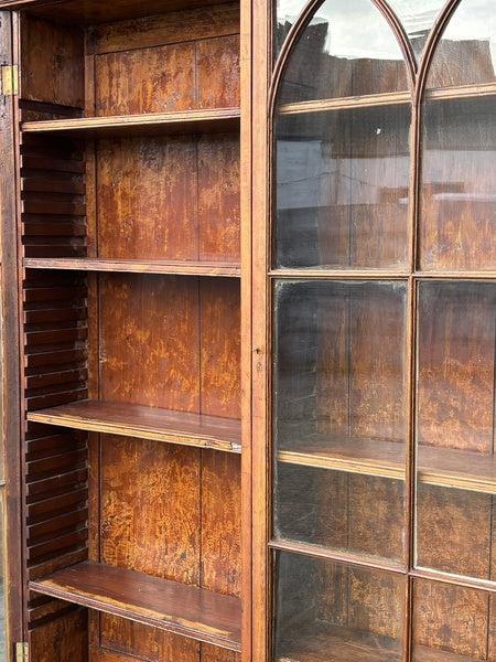 19th century country house pine display bookcase – A rare vintage treasure