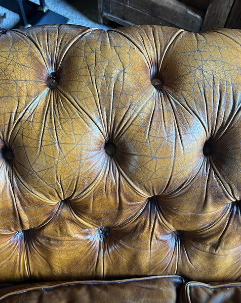 A vintage pegasus leather chesterfield sofa – A rare vintage treasure